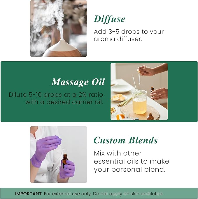 Handcraft Blends Pine Essential Oil – 1 Fl Oz – 100% Pure and Natural – Premium - Image 6