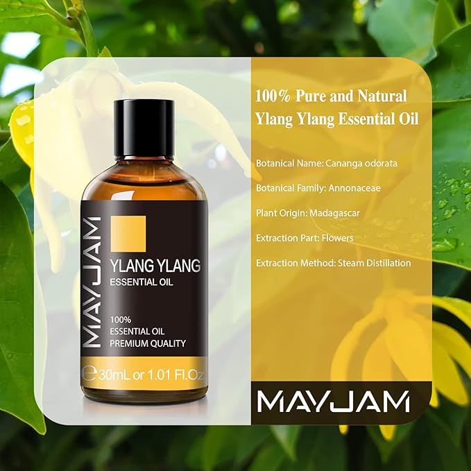 MAYJAM Ylang Ylang Essential Oil - Image 3