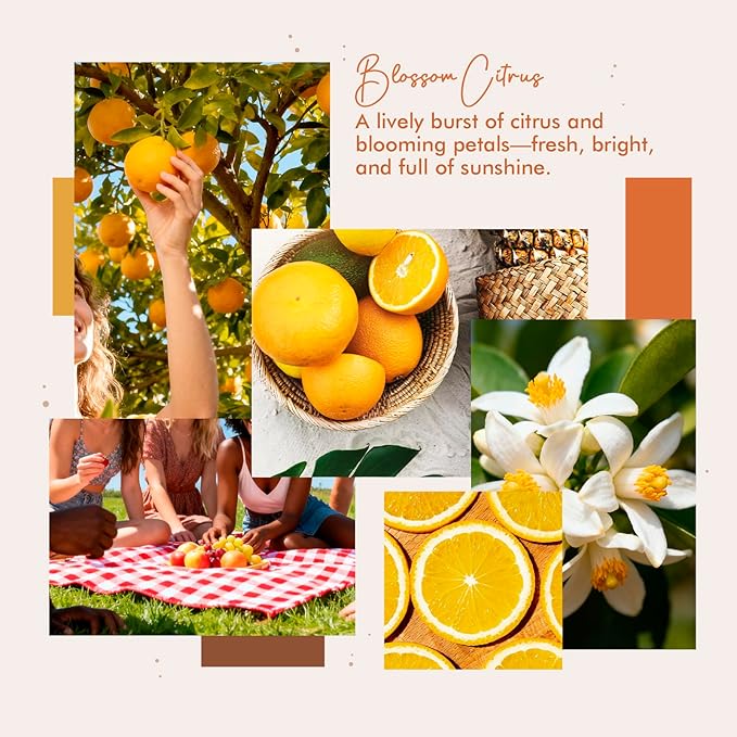 Room Spray, Blossom Citrus, 4 fl oz, Air Freshener - Image 2