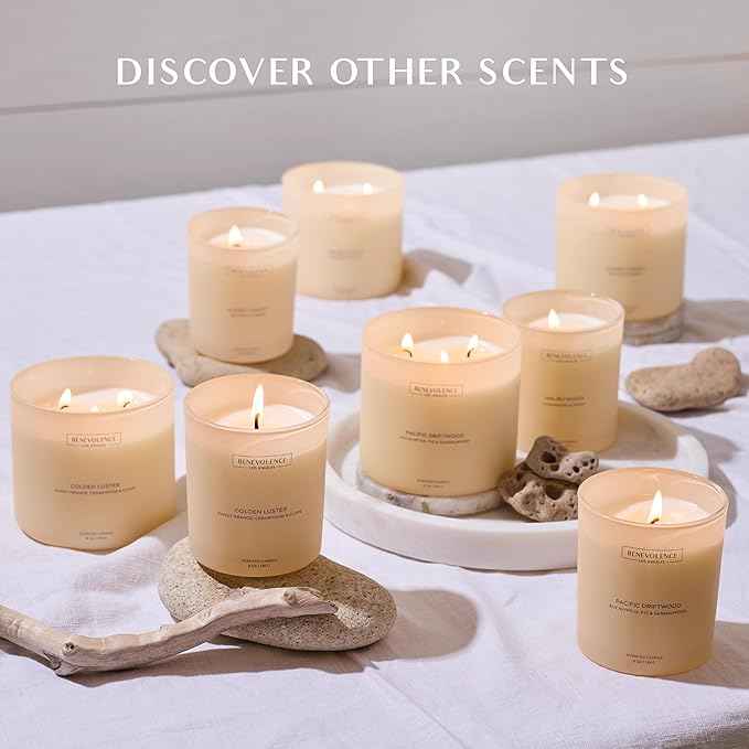 Eucalyptus, Fig & Sandalwood – Benevolence LA Scented Candle - Image 7