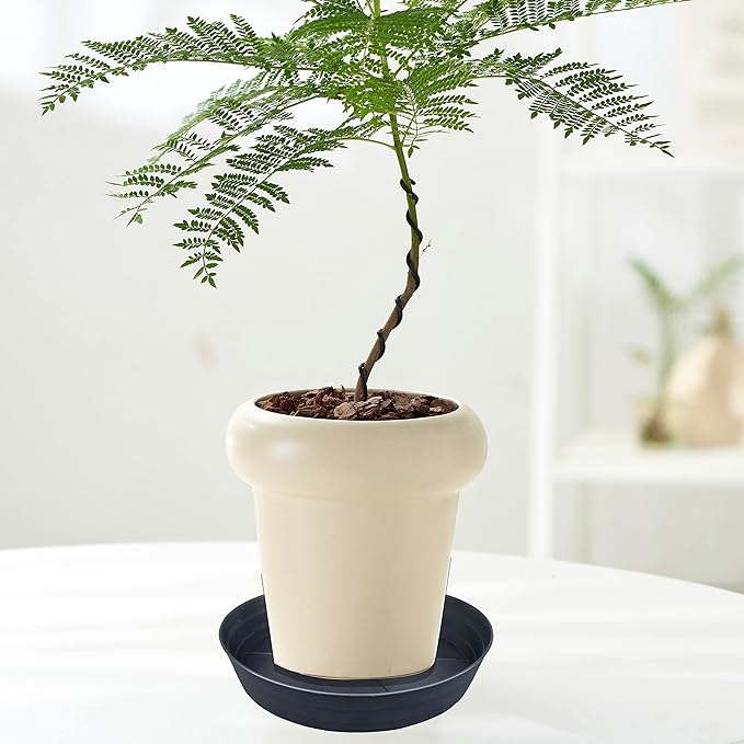 LWALRS Plant Saucer 18 Inch, Extra Large Planter Saucer 2 Pack, Plastic Plant - Image 7