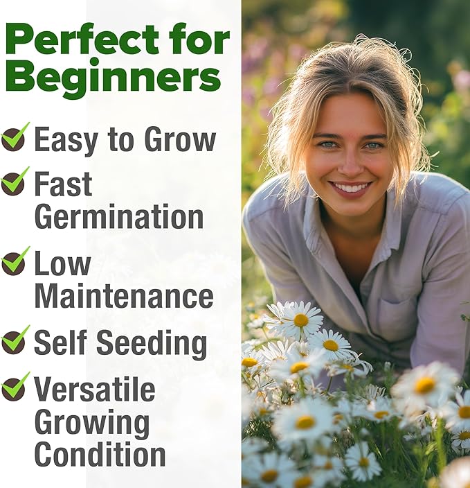 HOME GROWN German Chamomile Seed Pack 2, 280 Non GMO Heirloom Seeds - Image 4