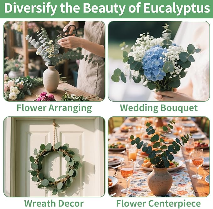 12PCS Dried Eucalyptus Bundle 17'' Real Eucalyptus Stems 100% Natural Fresh - Image 6