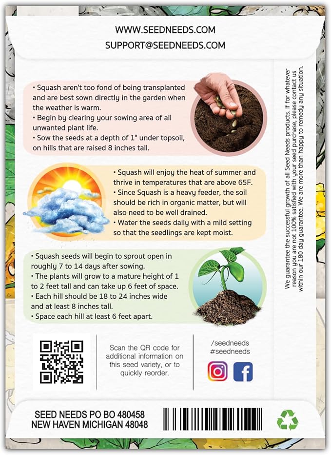 Seed Needs Blue Hubbard Winter Squash Seeds - Image 2