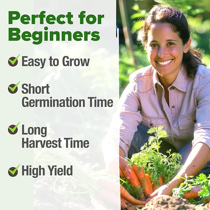 HOME GROWN Tendersweet Carrots Seeds 6000+ Heirloom Non-GMO Seeds - Image 4