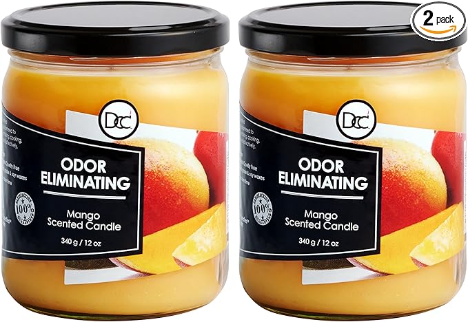 Mango Two Pack Odor Eliminating Highly Fragranced Candle by DiannesCustomCandles