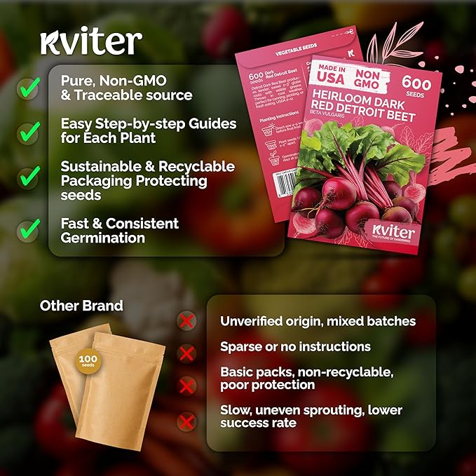 KVITER 600 Detroit Dark Red Beet Seeds - Image 5