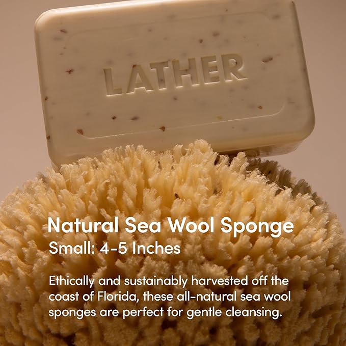 LATHER - Natural Sea Wool Sponge, 4-5" - Organic Exfoliating Body Scrubber - - Image 2