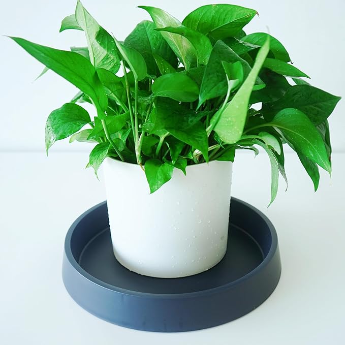 Plant Saucer Tray for Ceramic Plastic Pots, 8 inch Plant Saucers for Indoors - Image 3