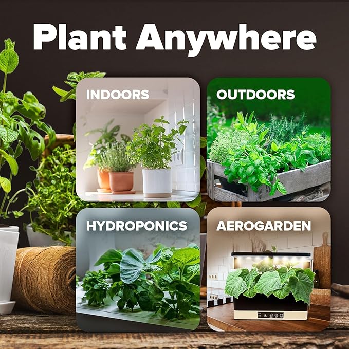 HOME GROWN 12 Fall Vegetable Seeds 9600+ Heirloom Non-GMO, High Germination - Image 8
