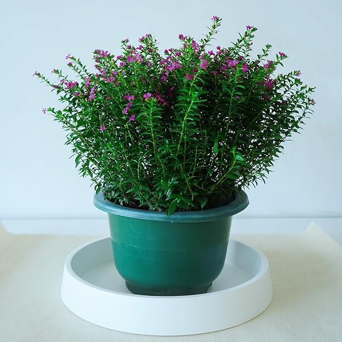 Plant Saucer Tray for Ceramic Plastic Pots, 18 inch Plant Saucers for Indoors - Image 5