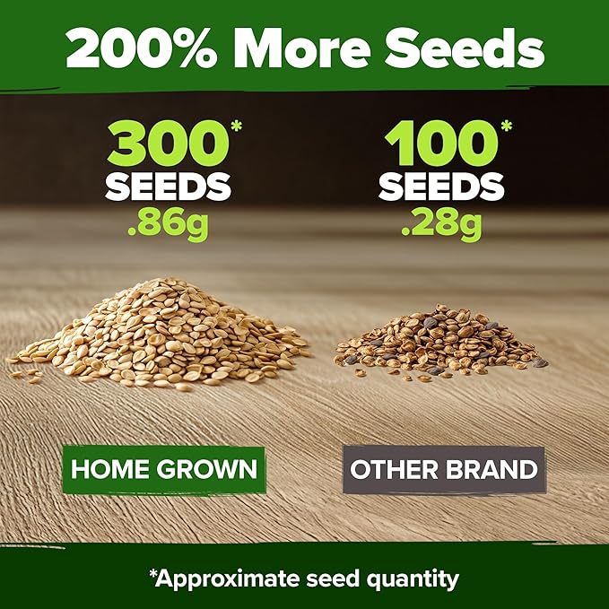 HOME GROWN Beefsteak Tomato Seeds 300+ Heirloom Non-GMO Seeds - Image 3