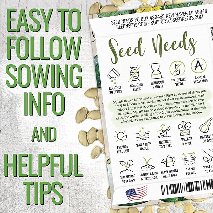 Seed Needs Zucchini Seeds for Planting Black Beauty Summer Squash - Image 2