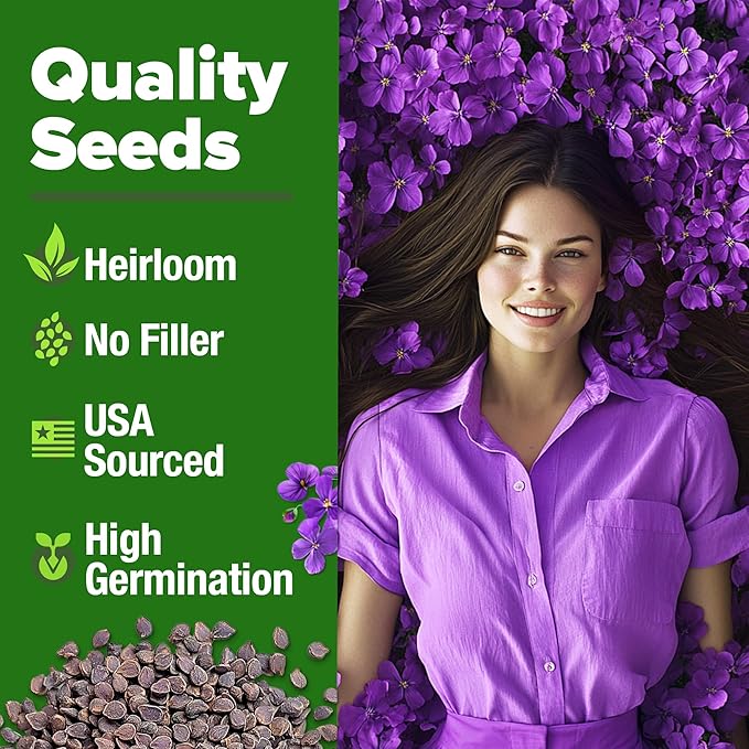 HOME GROWN Aubrieta Rock Cress Purple, Flowering Ground Cover Seed Pack - Image 2