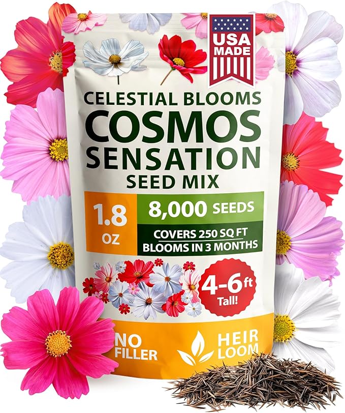 HOME GROWN Cosmos Flower Seeds Bulk Pack by HOMEGROWN