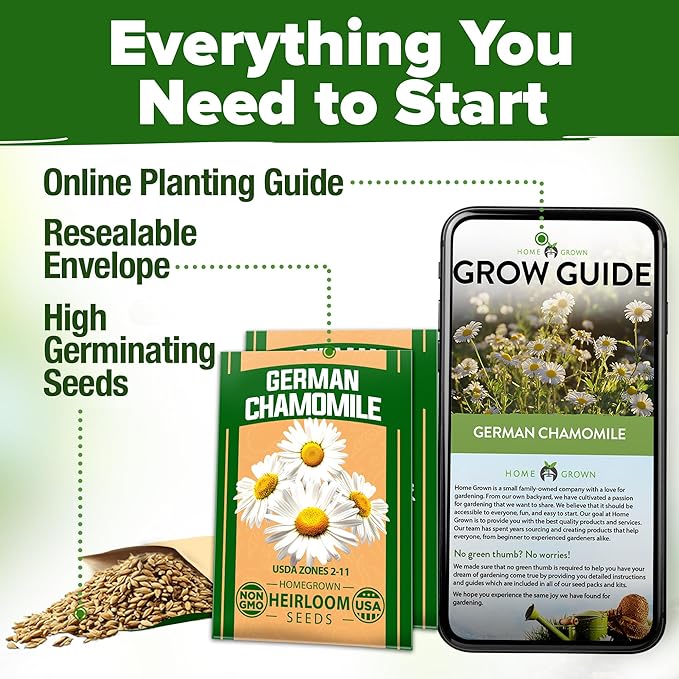 HOME GROWN German Chamomile Seed Pack – 4, 560 Heirloom Seeds - Image 8