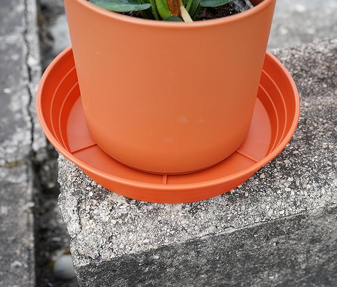 LWALRS Plant Saucer 14 Inch 4 Pack 6 8 10 12 14 16 18 20 25, Plastic Plant Trays - Image 4