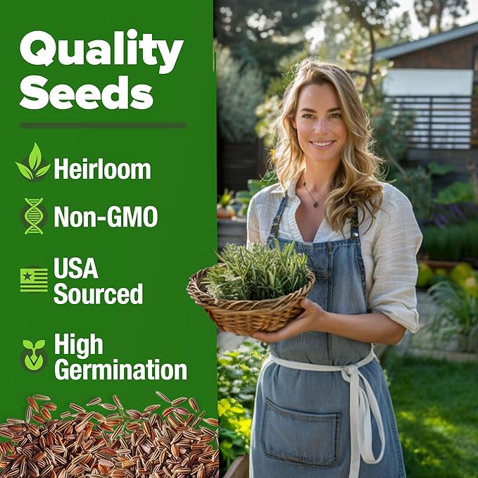 HOME GROWN Rosemary Seeds Pack - Image 3