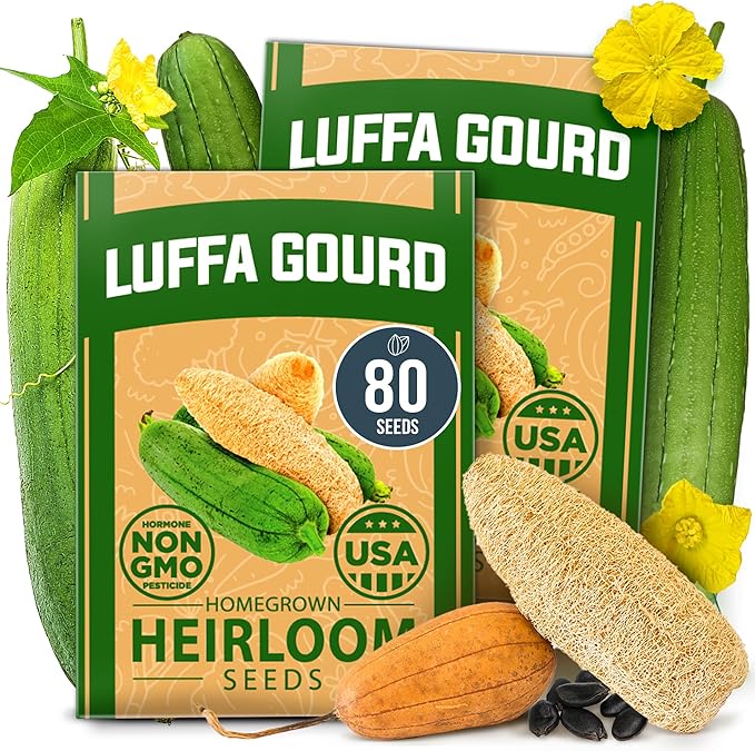 HOME GROWN Luffa Seeds 80+ Heirloom Non-GMO Loofah Gourd Seeds by HOMEGROWN