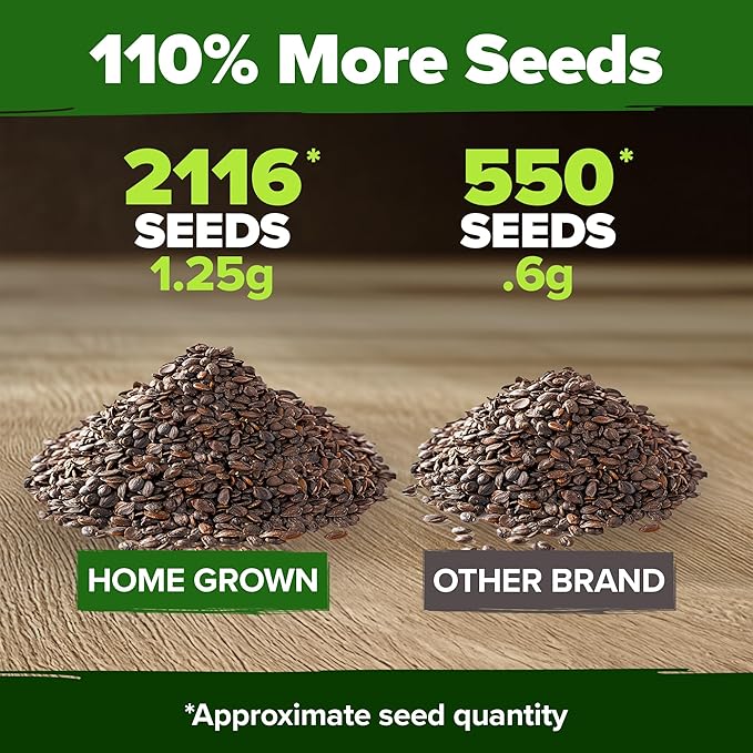 HOME GROWN Non GMO Catnip Seeds Heirloom Herb 2, 116 Seeds - Image 3