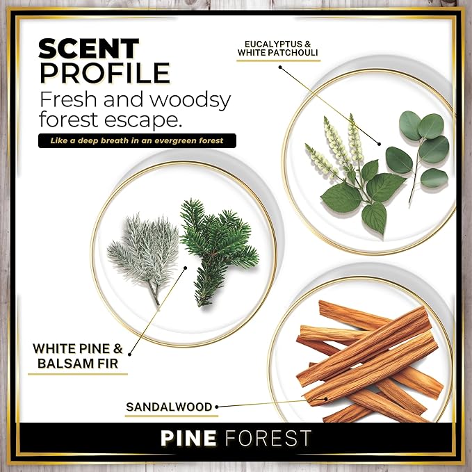 Urban Naturals Car Air Freshener Pine Forest Scent Diffuser, Long Lasting Car - Image 4
