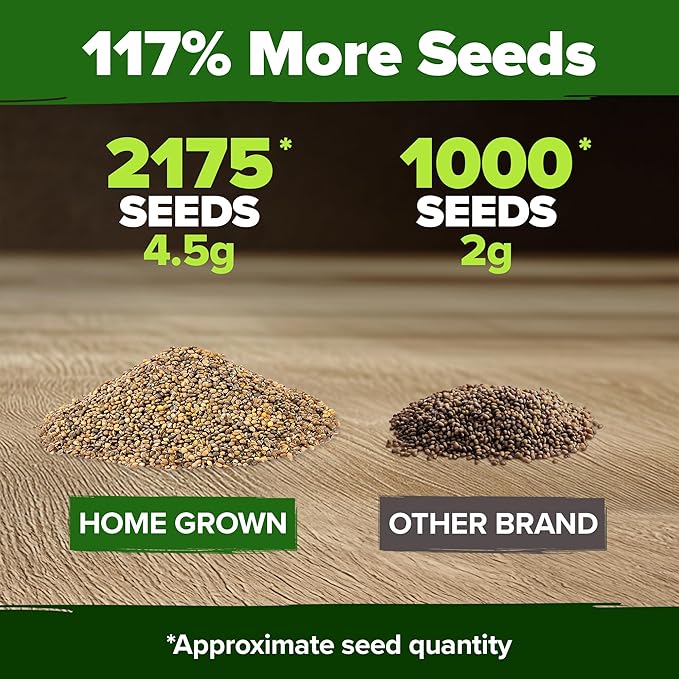 HOME GROWN Arugula Roquette Seeds 2, 175+ Heirloom Non-GMO Seeds - Image 3