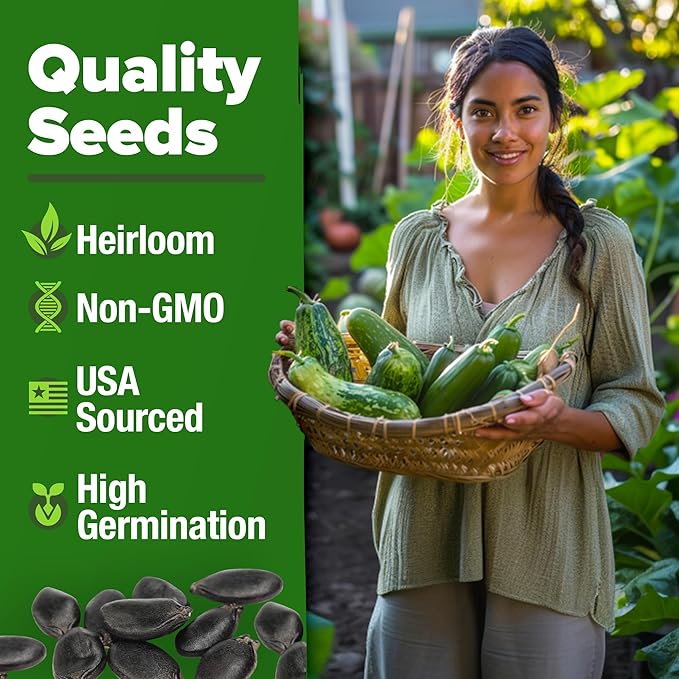 HOME GROWN Luffa Seeds 80+ Heirloom Non-GMO Loofah Gourd Seeds - Image 3