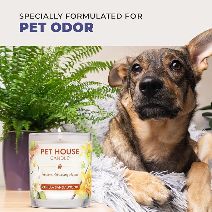 Pet House Candles, Plant-Based, Long Lasting, Pet Friendly Candles - Image 6