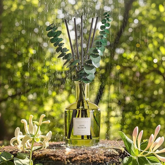 COCORRÍNA Olive Blossom Reed Diffuser – 6.76 oz Essential Oil - Image 3