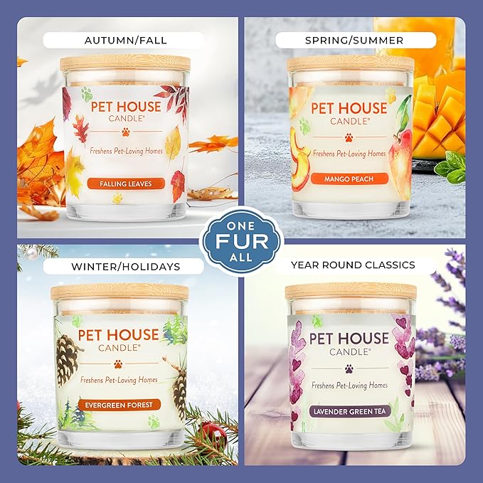 Pet House Candles Plant Based Cookie Scented Candle Clean Burning, Long Lasting - Image 4