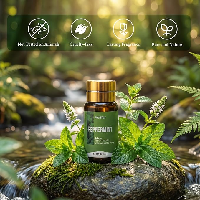 20 Pcs Essential Oil Set - Image 2