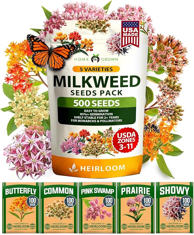 HOME GROWN Milkweed Flower Seeds by HOMEGROWN