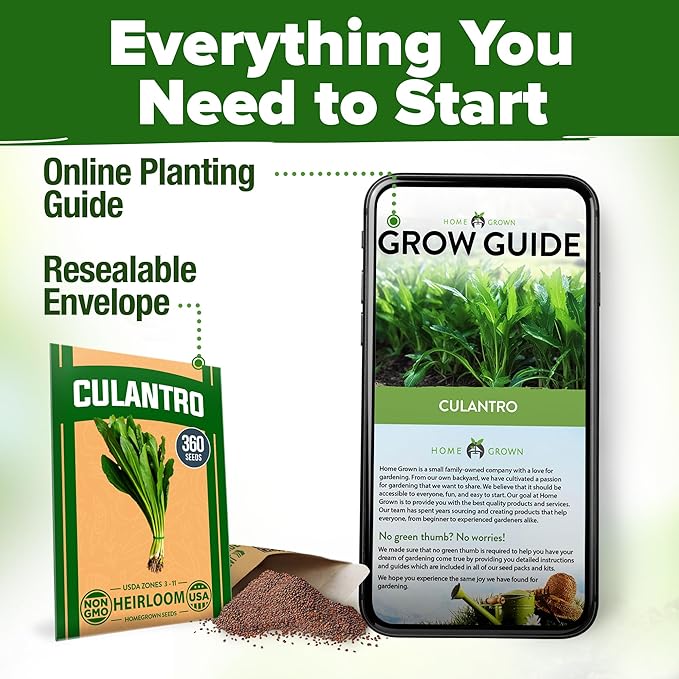 HOME GROWN Culantro Seeds - Image 8