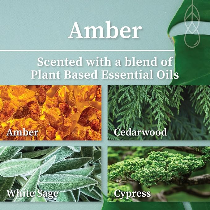 Hemlock Park Amber Apothecary Hand-Poured Scented Candle | Crackling Wood Wick - Image 2