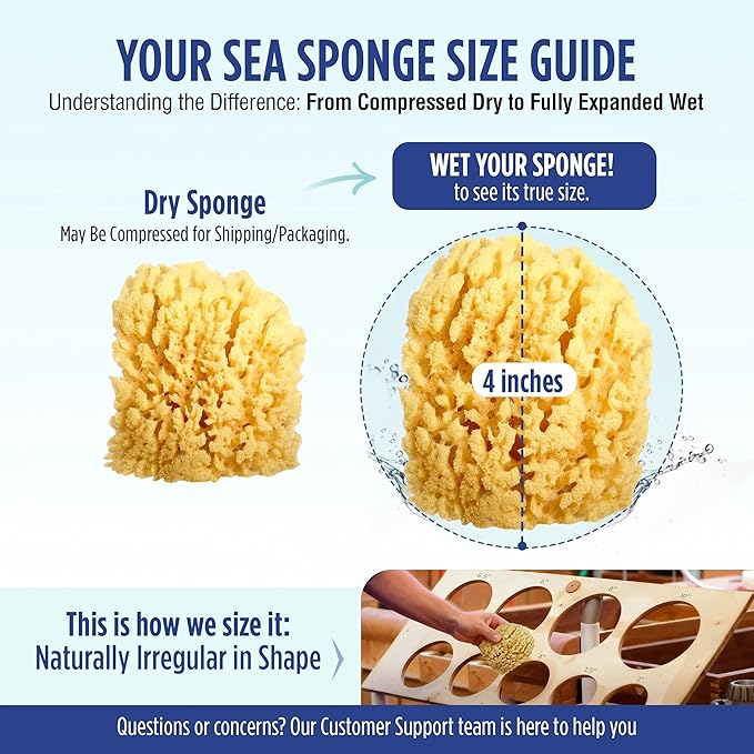 Baby Buddy Absorbent Natural Bath Sponge, Ultra Soft Premium Sea Wool Sponge - Image 7