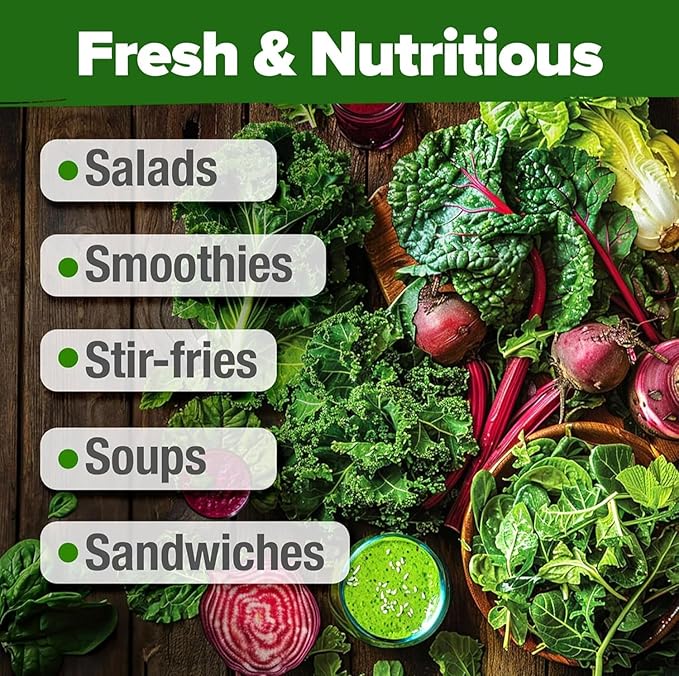 HOME GROWN Lettuce Seeds 8 Variety Mix 9000+ Bulk Pack Heirloom Non-GMO - Image 8