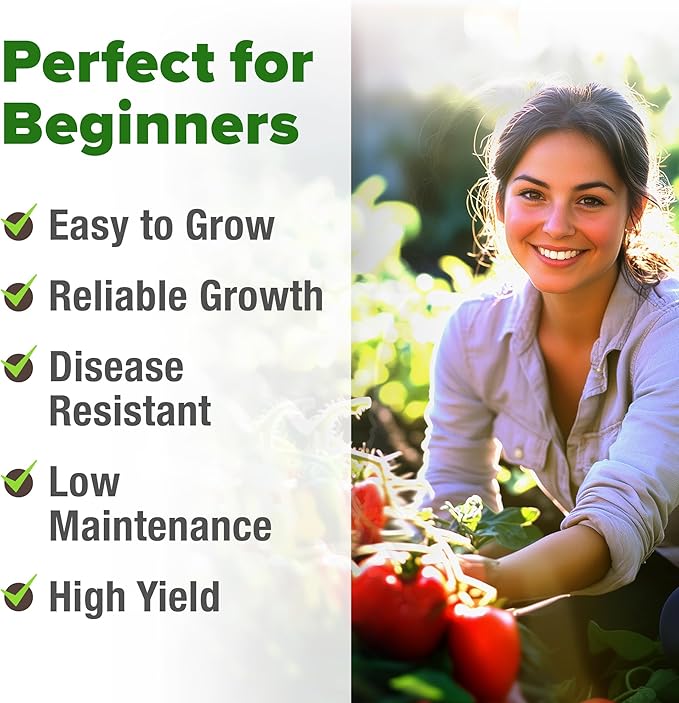 HOME GROWN San Marzano Tomato Seeds 132+ Heirloom Non-GMO Seeds - Image 4