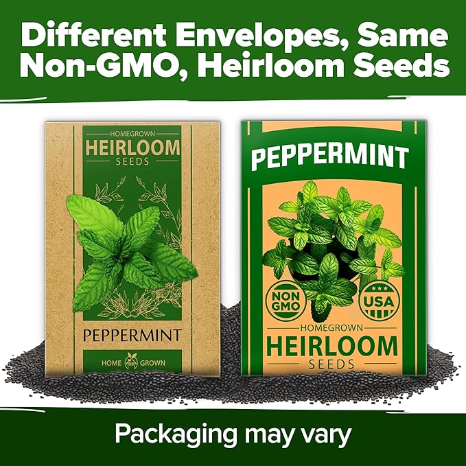 HOME GROWN Peppermint Seeds 2 Pack 4, 740 Heirloom Mint Seeds - Image 8