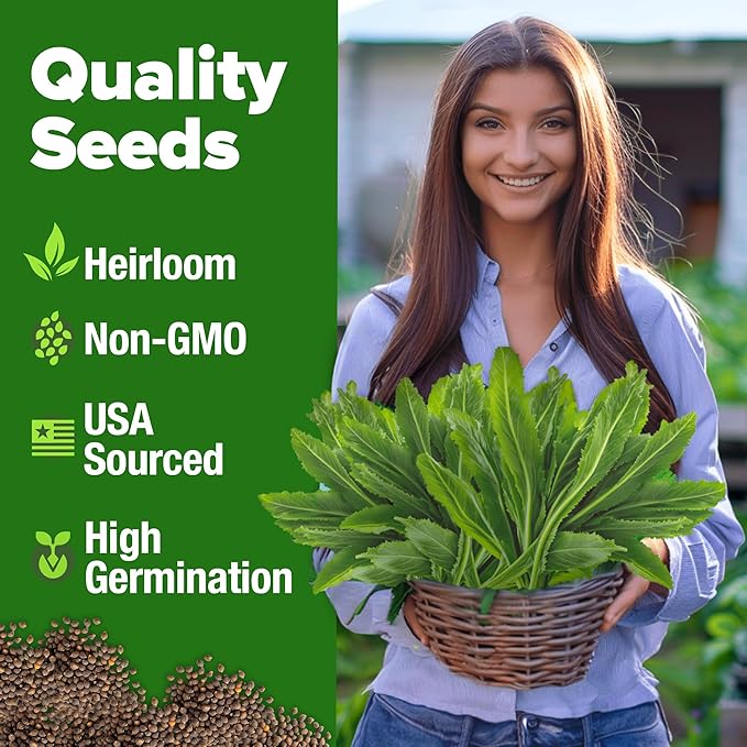 HOME GROWN Culantro Seeds - Image 2