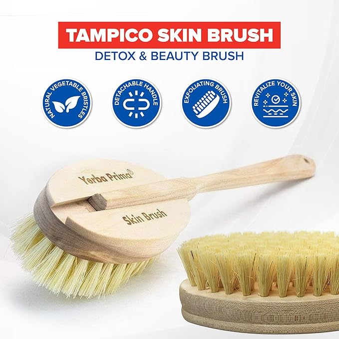 Yerba Prima Tampico Skin Brush for Exfoliation, Dry Brushing, and Blood - Image 3