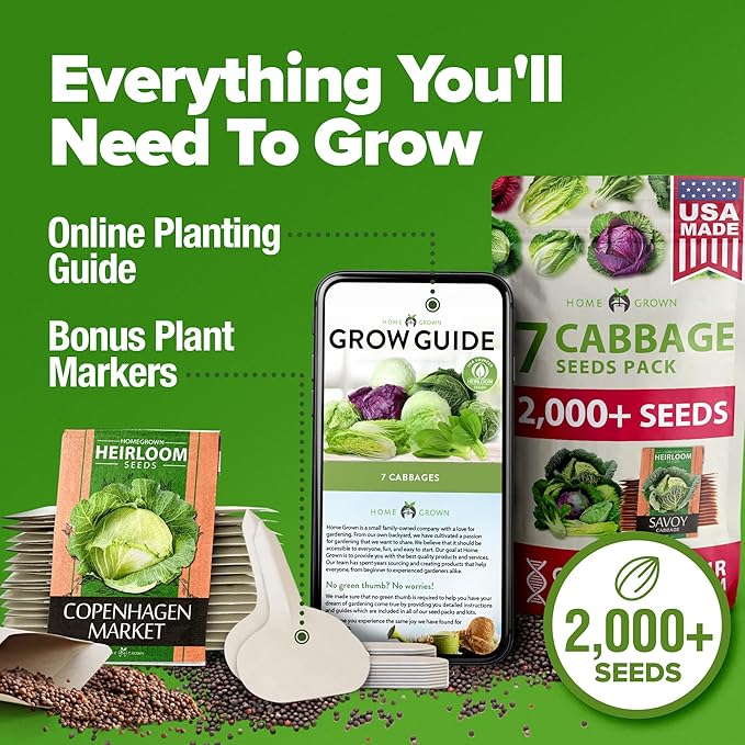 HOME GROWN Cabbage Seeds 7 Variety Mix 2000+ Heirloom Non-GMO, High Germination - Image 8