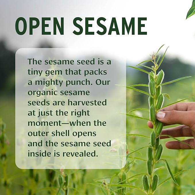 Banyan Botanicals Sesame Oil – Organic & Unrefined Ayurvedic Oil - Image 4