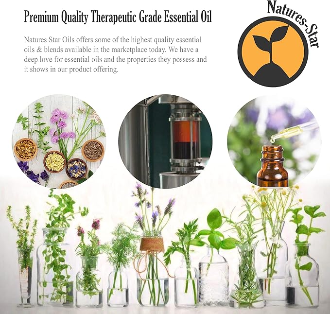 Natures-Star Pure Lavender Essential Oil Therapeutic Grade - Image 3