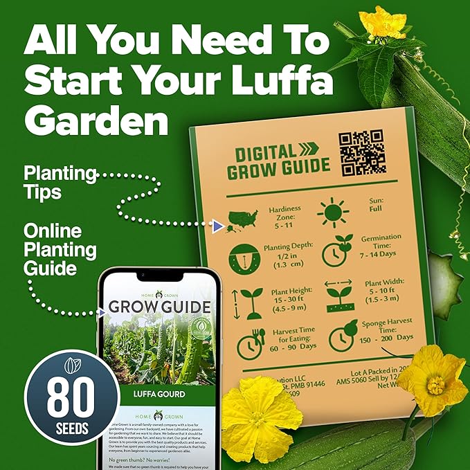 HOME GROWN Luffa Seeds 80+ Heirloom Non-GMO Loofah Gourd Seeds - Image 7