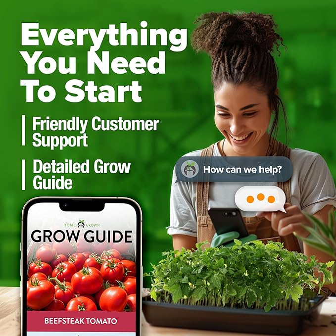 HOME GROWN Beefsteak Tomato Seeds 300+ Heirloom Non-GMO Seeds - Image 9