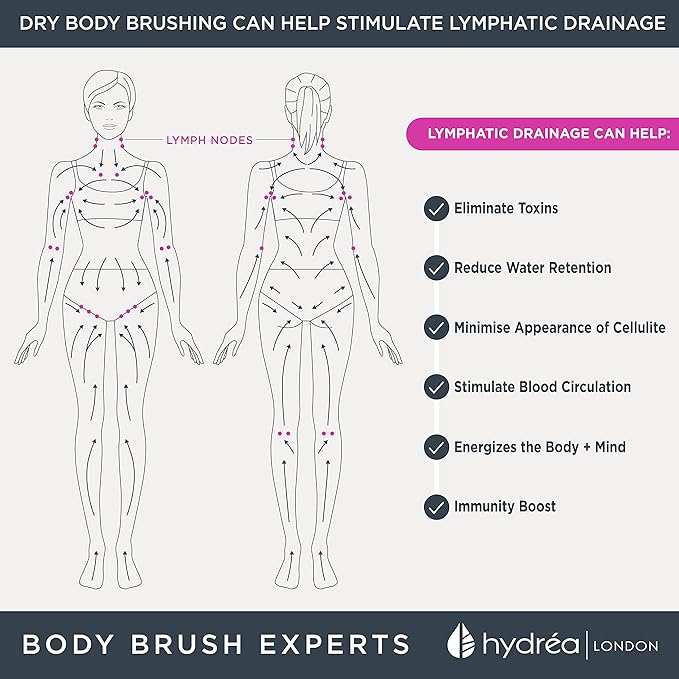 Hydrea London Dry Body Brush Long Handled Exfoliating Skin Brush - Image 7