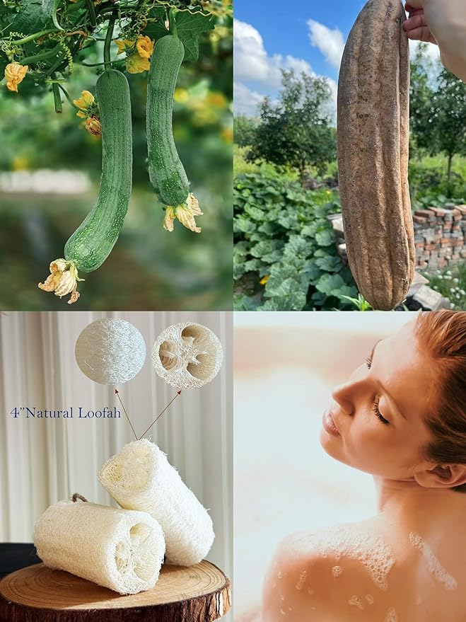 100% Natural Loofah Exfoliating Body and Face Sponge Scrubber - Image 6