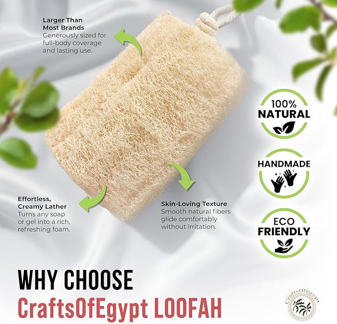CraftsOfEgypt Natural Loofah Sponge – Egyptian Luffa Body Scrubber Pack of 1 - Image 3