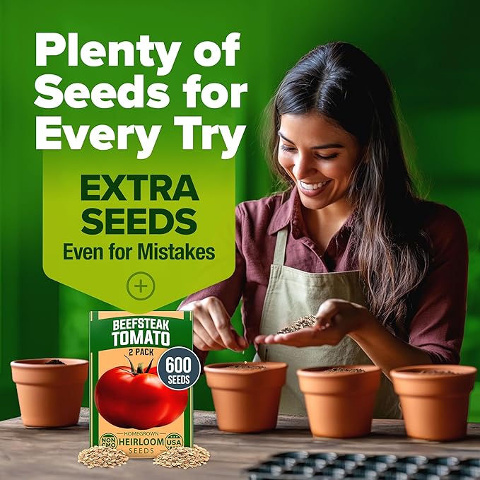 HOME GROWN Beefsteak Tomato Seeds 600+ Heirloom Non-GMO Seeds - Image 9