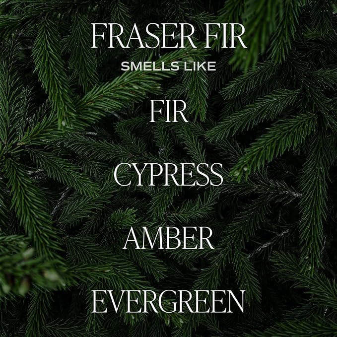 Sweet Water Decor Fraser Fir Christmas Candles - Image 2